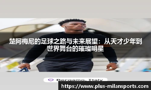 米兰体育下载